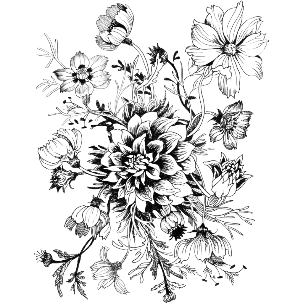 White flowers in sketch style